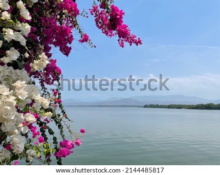 A beautiful view of Laguna de Coyuca (Coyuca lagoon) from the resort town Pie de la Cuesta north of Acapulco, Guerrero, Mexico. With pretty flowers in the foreground. Room for text  space for copy.