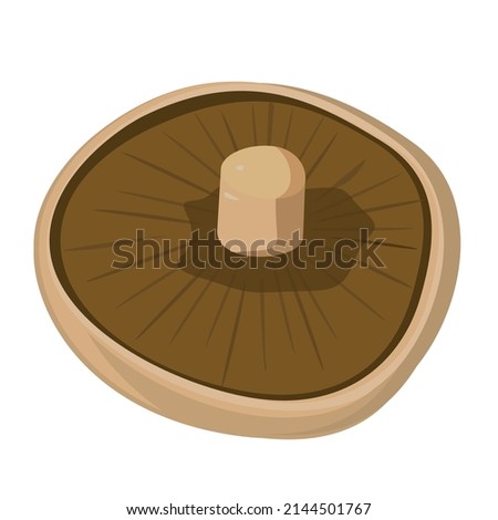 Portobello mushroom isolated on white background. Vector illustration of vegetable Royalty-Free Stock Photo #2144501767