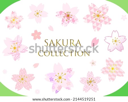 Japanese Pattern Variation Set of Cherry Blossoms, Petals Illustration