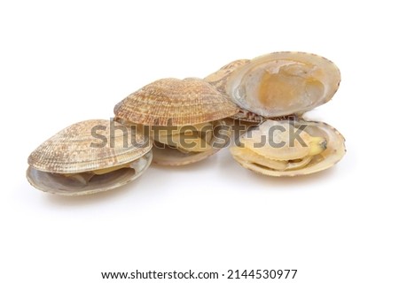 Closed up fresh baby clams, venus shell, shellfish, carpet clams, short necked clams, as raw food from the sea are the seafood ingredients. fresh clams Background. Royalty-Free Stock Photo #2144530977