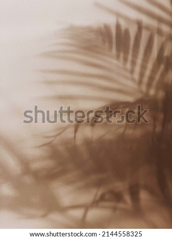 Tropical palm leaves sunlight shadows on neutral beige wall. Aesthetic minimalist floral background. Sun light shadow silhouette. Copy space Royalty-Free Stock Photo #2144558325