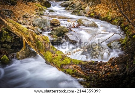 A fast river in an autumn mossy forest. River stream in mossy forest. Autumn river stream flowing. Fast river stream Royalty-Free Stock Photo #2144559099