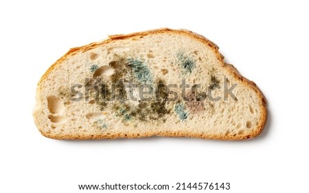 Slice of spoiled bread isolated on a white background. Wheat bread piece with various kinds of mold cutout. Moldy fungus on rotten bread close-up. Biodegradable food waste concept. Top view. Royalty-Free Stock Photo #2144576143