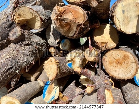 Pile Wood Cut Pieces Firewood. Wood for fireplace heating house.sunlights fall on the irregularly stacked piece of different size woods. 