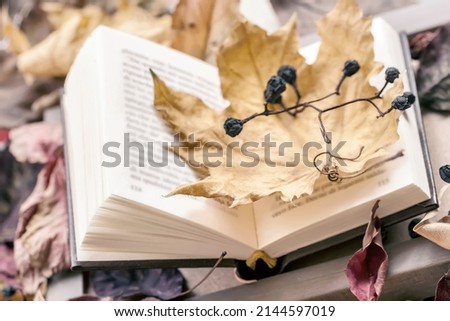 Open book and dried maple leaf close-up covered among autumn leaves, top view, sunny fall day, vintage background. Concept of education, romantic mood