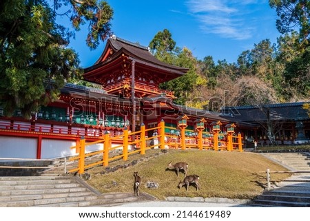 Kasuga Taisha is a famous shrine in Nara, Japan. Royalty-Free Stock Photo #2144619489