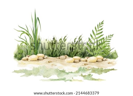 Sandy ground with green grass background. Watercolor illustration. Natural sandy ground with small rocks with green lush grass, fern and wild herbs on the background. Natural scene