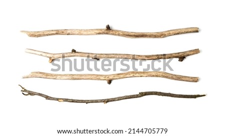 Branches set isolated. Dry twigs collection, sticks, boughs, dry thin branches, brushwood for rustic design, boho style Royalty-Free Stock Photo #2144705779