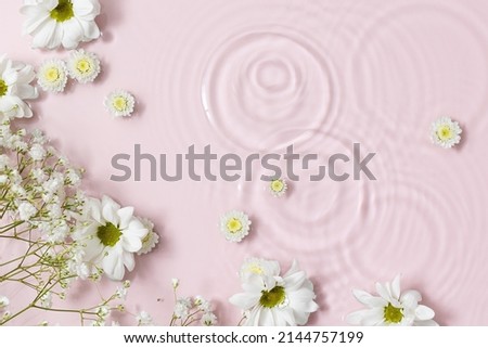 Water background. Pink aqua texture, surface of ripples, transparent, flower, shadows and sunlight. Spa and cosmetic concept background. Flat lay, top view, copy space, banner Royalty-Free Stock Photo #2144757199