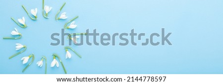 Flower circle created from white fresh beautiful snowdrops on light blue table background. Pastel color. First messengers of spring. Closeup. Top view. Wide banner. Empty place for text. 