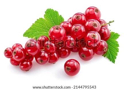 Ripe redcurrant berries on white background. Close-up. Royalty-Free Stock Photo #2144795543