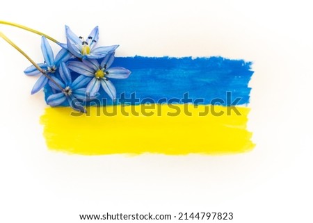 Flag of Ukraine is drawn in blue and yellow colors on a white background. Blue flowers on the flag of Ukraine. No war. Rise and restoration of Ukraine. White background, place for text.