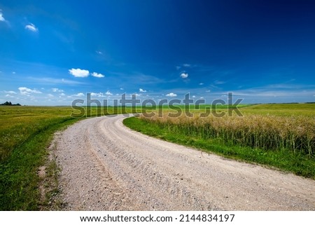 wheel ruts like a highway with a blue sky , a gravel rural highway through a field with green grass and trees