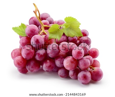 Grape isolated. Bunch of purple grapes isolated with leaves on white background. Violet red grape with clipping path. Full depth of field. Perfect not AI grape, true photo.