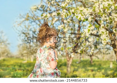Happy  toddler girl among   blooming cherry trees .Spring time  Royalty-Free Stock Photo #2144856733