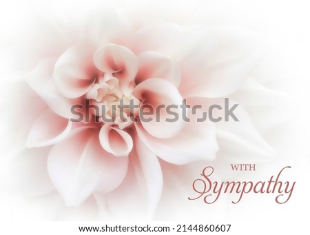 Floral sympathy greeting card. White dahlia flower with soft pink center with condolence message. Horizontal orientation. Elegant sympathy background. 