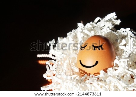 Cute sleeping Easter egg in a designed white nest