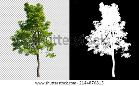 Green tree on transparent background picture with clippings path inside of picture and alpha Channel for easy to selection and brush design
