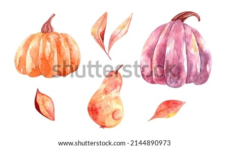 Watercolor autumn set with bright pumpkins, leaves and pears, botanical illustration. A set of elements for postcards, posters, fabrics, design