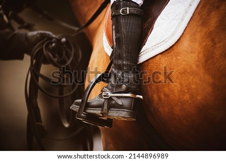  The chestnut horse is wearing horse ammunition - a stirrup, a brown old saddle, a white saddlecloth, a bridle, and a rider in black boots is sitting in the saddle. Horse riding. Equestrian sports. Royalty-Free Stock Photo #2144896989