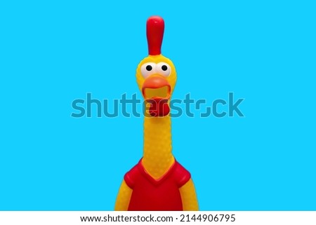 Rubber toy in the form of a screaming rooster on a blue background in the center. Funny toy rooster has a surprised and dumbfounded look with an open beak and frightened eyes