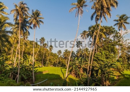 Landscape of Siquijor island, Philippines.