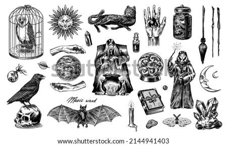 Witch brews a potion in a cauldron. Magic ball, book of spells, black cat, beldam and sorcery, Crow on skull. Sun and a Crescent moon with face. Halloween elements. Hand drawn engraved vintage sketch Royalty-Free Stock Photo #2144941403