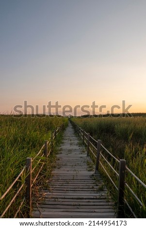 Wooden bridge walkway path on marshes and reeds in front of mountain. This is from Sultan Sazligi and Erciyes Mountain in Kayseri Turkey. Pastoral beautiful landscape background.