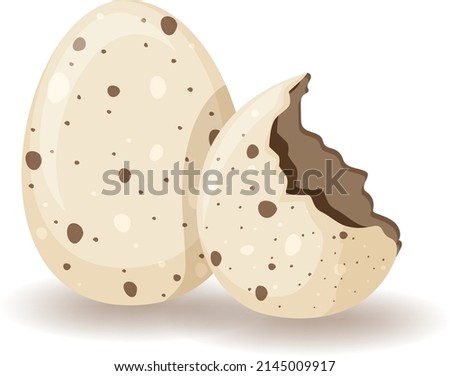 Egg shell cracking on white background illustration