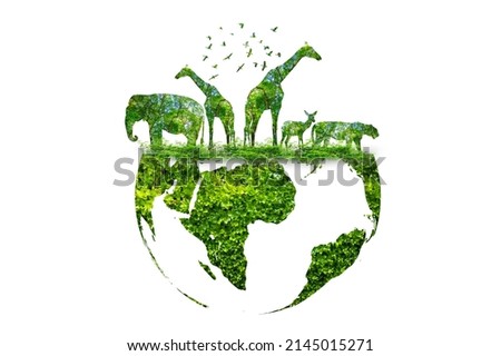 wildlife silhouette on earth wildlife conservation concept Royalty-Free Stock Photo #2145015271