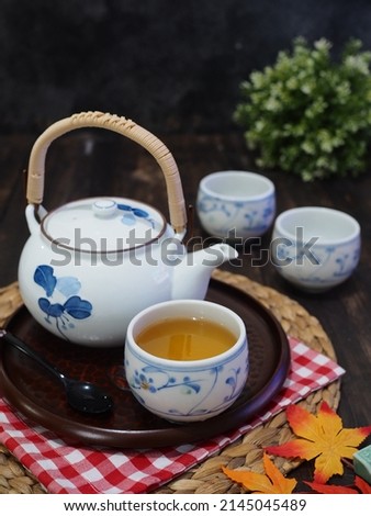 ocha or japanese green tea on tea set. dark photography