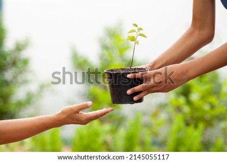 Selective focus on the hand, the boy's hand is sending a pot of plant saplings. to the hand of a woman In a pot there is a growing seedling. planted with black soil The background is blurry green tree