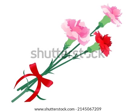 Clip art of elegant bouquet of carnations