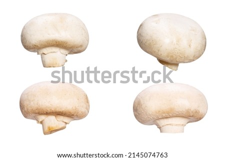 set of natural champignons isolated on white background. High quality photo