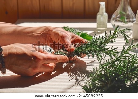 Alternative medicine. Woman holding in her hands a bunch of rosemary. Herbalist woman preparing fresh scented organic herbs for natural herbal methods of treatment. Selective focus. Royalty-Free Stock Photo #2145089235