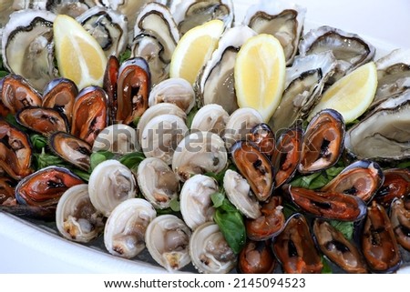 Fresh seafood platter. Venus verrucosa, oysters and hairy mussels with lemons. Puglia food