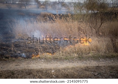 Raging forest spring fires. Burning dry grass. Grass is on fire in the meadow. Ecological catastrophy. Fire and smoke destroy all life. Firefighters put out a big fire. A lot of smoke