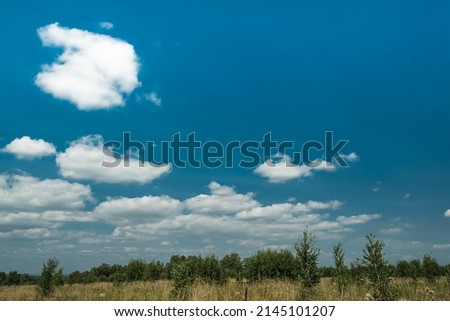 Row of trees on horizon line under blue sky. Cumulus clouds over green wood at sunset. Atmospheric front changes position, precipitation formation