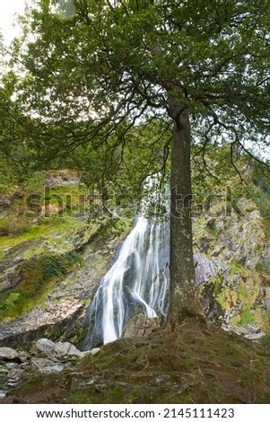 Majestic water cascade of Powerscourt Waterfall, the highest waterfall in Ireland. Famous tourist attractions in co. Wicklow, Ireland.