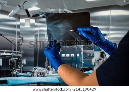 doctor holding xray image at surgical office at the hospital. healthcare concept