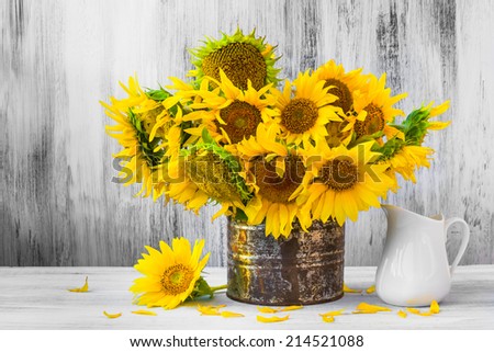 Still Life. Bouquet of sunflowers in old tin