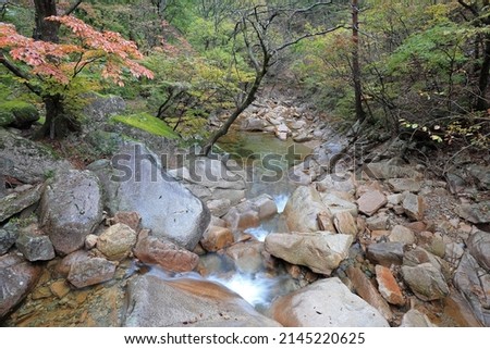 Autumnal view and high angle of waterfall and rocks at a valley with maple trees at Seoraksan Mountain near Sokcho-si, South Korea
