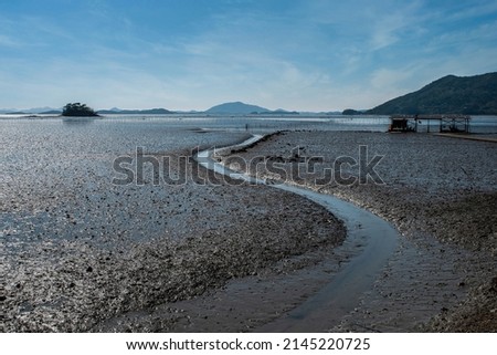 Waterway on tidal channel and mud flat at low tide against Solseom Island at Waon Beach of Suncheon Bay near Suncheon-si, South Korea 
 Royalty-Free Stock Photo #2145220725