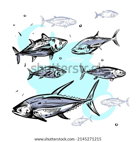 Marine set of hand drawn beautiful fishes. Modern graphics, illustration for menu, tuna. Print for t-shirt. Vector on white background