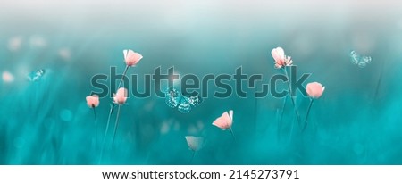 Pink wild flowers and butterflies. Spring summer background. Banner format.