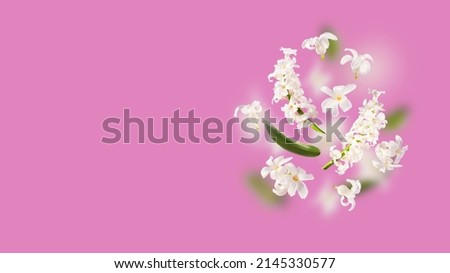 A beautiful picture with white hyacinth flowers flying in the air on the violet purple lavender background. Levitation concept. Floating petals. Greeting card with wedding, women's day, mother's day.