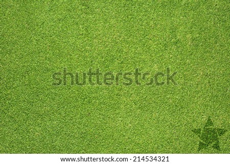 Star icon on green grass texture and background 