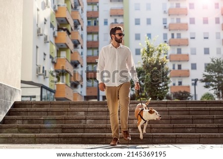 A busy man dressed smart casual, with sunglasses is walking his dog in the urban exterior. The dog descending stairs. A man with a dog in a walk in the urban exterior. Royalty-Free Stock Photo #2145369195