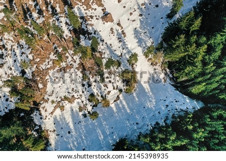 Aerial shot of a patchy forest where the melted snow reveals the signs of deforestation