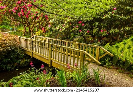Wooden bridge in the garden. Garden bridge way. Bridge in amazing garden. Garden bridge view Royalty-Free Stock Photo #2145415207